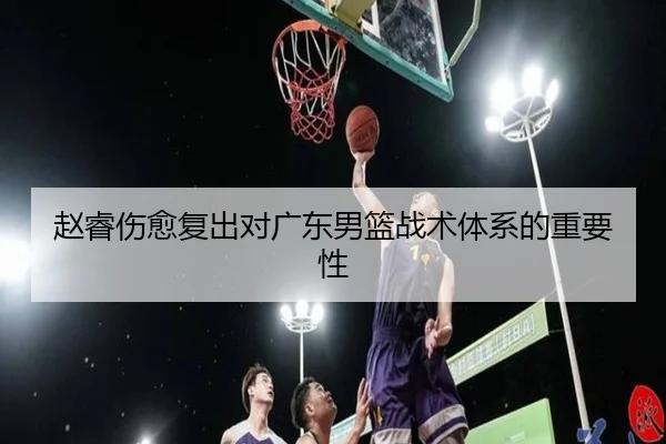 赵睿伤愈复出对广东男篮战术体系的重要性